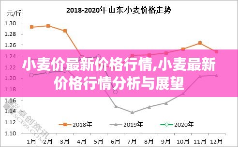 小麦价格最新行情分析与展望