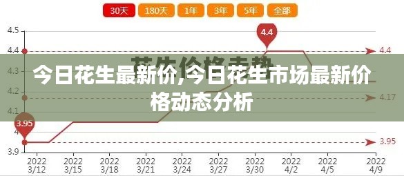 今日花生市场最新价格动态解析