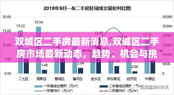 双城区二手房市场最新动态及趋势，机会与挑战并存