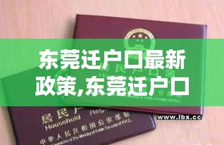 东莞迁户口最新政策详解，入户条件、流程与影响分析全解析