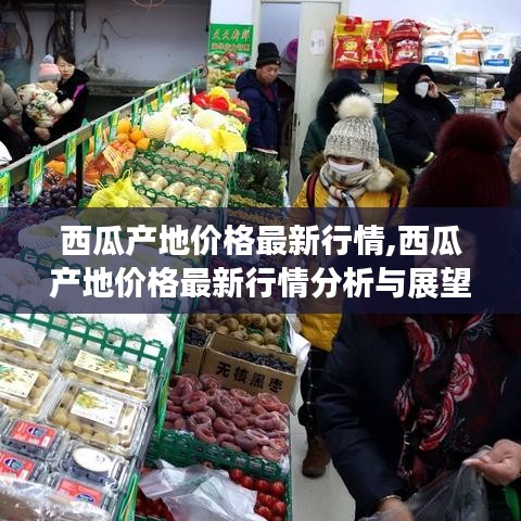 西瓜产地价格最新行情分析与展望报告