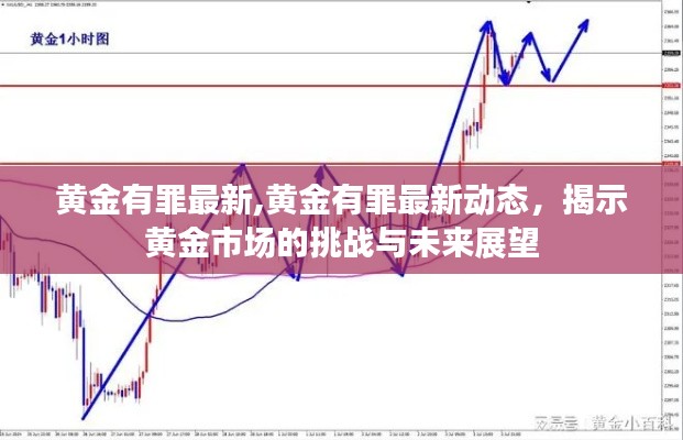 黄金有罪最新动态揭秘，黄金市场的挑战与未来展望