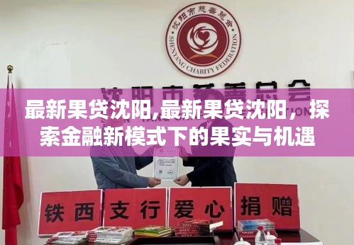 金融新模式下的果实与机遇，最新果贷在沈阳的发展探索