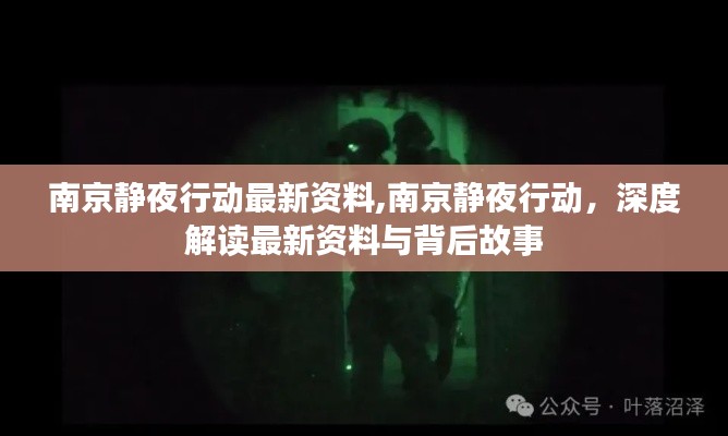 南京静夜行动揭秘，最新资料与背后故事深度解读