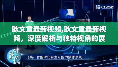 耿文章最新视频深度解析与独特视角展现，独特观点与洞察力的展现