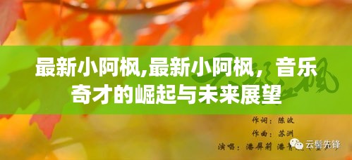 音乐奇才小阿枫的崛起与未来展望