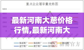 河南大葱价格行情解析，市场走势、影响因素与未来预测