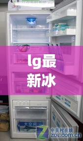 LG最新冰箱，科技与设计的完美结合，现代家居新体验的首选