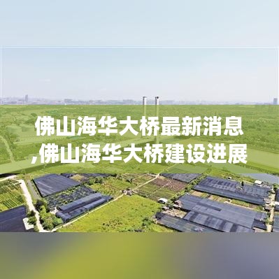 佛山海华大桥建设最新进展与工程概述更新